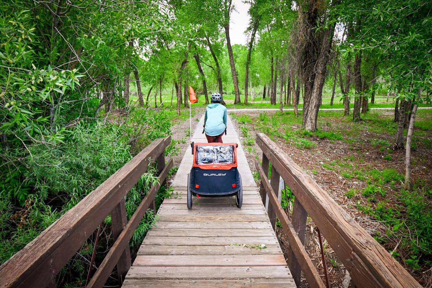 The Best Bike Trailers for Babies and Kids Truly Mama